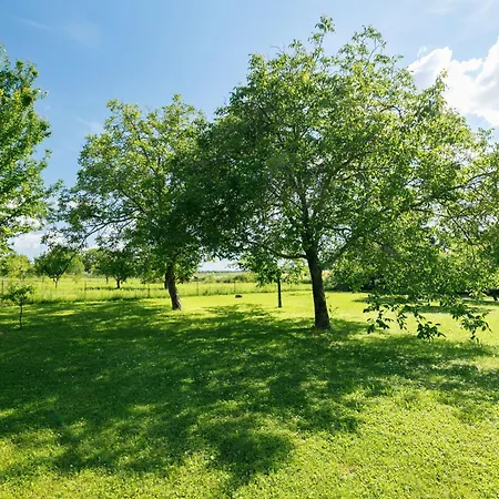 Meretei Porta By Interhome Lägenhet