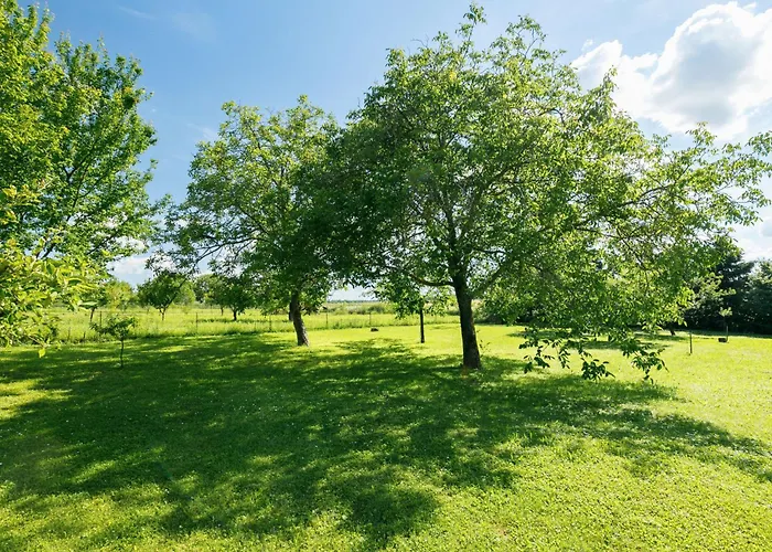 Meretei Porta By Interhome דירה